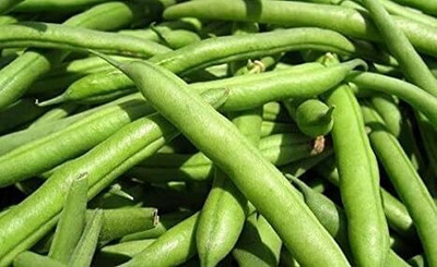 DIVINE BEANS Seed(30 per packet)