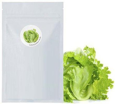 CYBEXIS Crisp-head Lettuce2000 Seeds Seed(2000 per packet)
