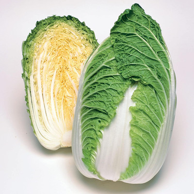 WILLVINE GOI -V Chinese Cabbage Seeds - Spring Crisp [2.5g] Seed(750 per packet)