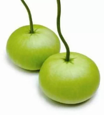 MAA Bottle Gourd round, Kaddu, Lauki Seed(82 per packet)