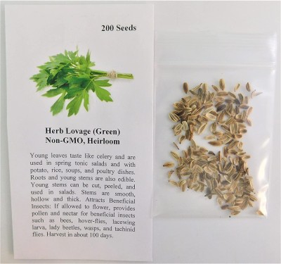 CYBEXIS VXI-70 - Lovage Herb (Levisticum officinale) - (250 Seeds) Seed(250 per packet)