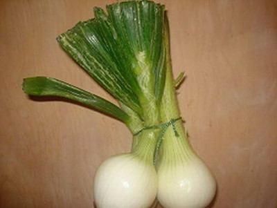 Qualtivate RES-5A White Bermuda Onion Seeds Seed(500 per packet)