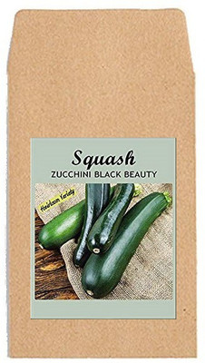 CYBEXIS Zucchini Seed(400 per packet)