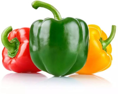 VASUDHA Organic Mixed Capsicum Seed(100 per packet)