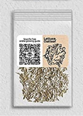 WILLVINE Non-GMO F1 HybridLettuce Oakleaf-5000 Seeds Seed(5000 per packet)