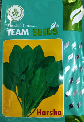 SPINACH 1 pouch Spinach/palak seeds highest yield dark green leaf Seed(1 per packet)