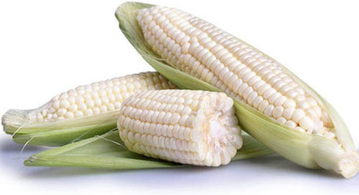 KNESSiN White Corn Seed(200 per packet)