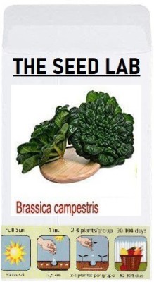 CYBEXIS Organic Vegetable Seeds-Swiss Chard2000 Seeds Seed(2000 per packet)