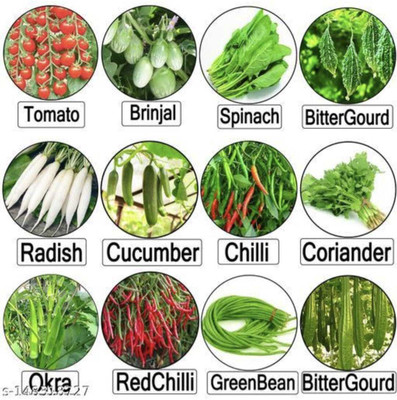 Plantzone all mixed vegetable seeds Seed(100 per packet)