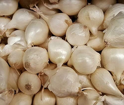 KNESSiN Maui Sweet Onion Seed(200 per packet)