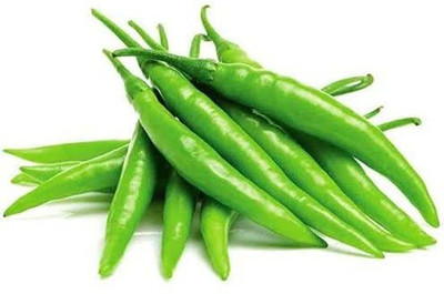 KANAYA Pepper Chilli Hybrid Seed(600 per packet)