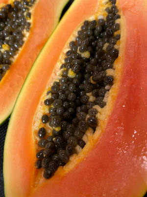 KLARKEE JUICY & SWEET PAPAYA SEED Seed(500 per packet)
