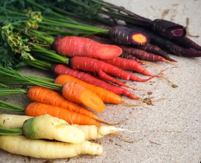 VibeX ® VMR-352 Carrot Mix of 6 Colorful Varieties Seed(500 per packet)