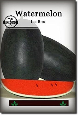 WILLVINE PUAS-451 Ice Box Watermelon Seeds F1 Hybrid Seed(100 per packet)