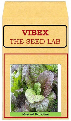 CYBEXIS Mustard Red Hybrid Seeds2000 Seeds Seed(2000 per packet)