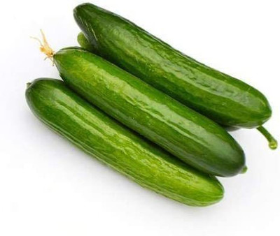 VibeX VVI-89 - Long Green Improved Cucumber - (150 Seeds) Seed(150 per packet)