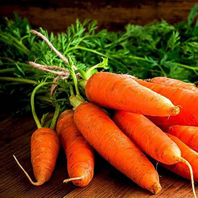 BDSresolve Carrot seeds for planting Pack of 152 Seed(152 per packet)