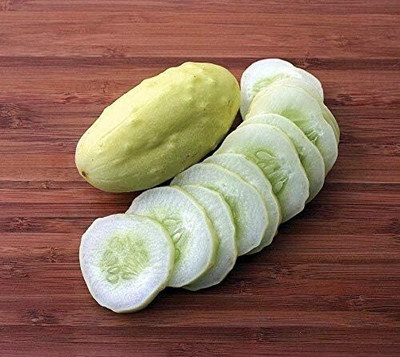 Qualtivate EXL-4AT Miniature White Cucumber(Organic Bush Type) Seed(300 per packet)