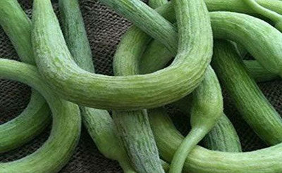 VibeX NBIR-8 - Long Melon (Tar) Kakri - (450 Seeds) Seed(450 per packet)