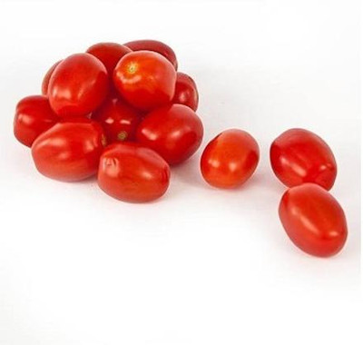 VRAKSHA High Quality Tomato Seed(2000 per packet)