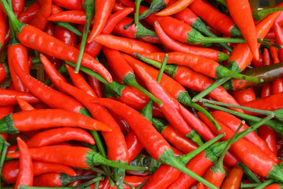 ActrovaX CHILLI/MIRCHI [2000 Seeds] Seed(2000 per packet)
