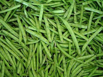 KANAYA Gwar Fali (Cluster Beans) Seed(9 per packet)