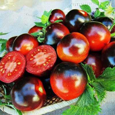 CYBEXIS High Yield Rare Tomato Seeds2000 Seeds Seed(2000 per packet)