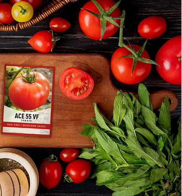 Biosnyg Tomato Ace 55 VF Seed(1000 per packet)