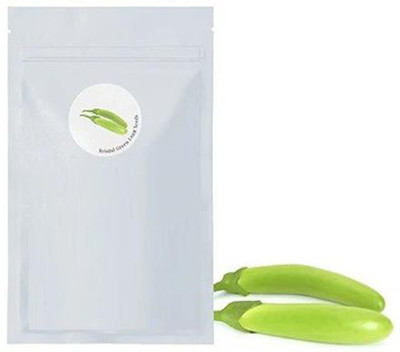CYBEXIS BRINJAL LONG GREEN SEEDS800 Seeds Seed(800 per packet)