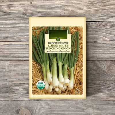 CYBEXIS KGF -54 - Lisbon White Bunching - (4500 Seeds) Seed(4500 per packet)