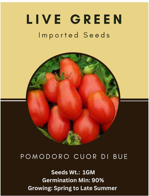 WILLVINE Imported - Pomodoro Cuor Di Bue Tomato [10g, 3000 Seeds] Seed(3000 per packet)