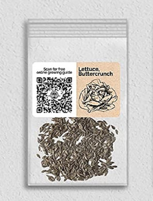 WILLVINE Lettuce Seed(1250 per packet)