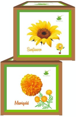 Sow and Grow Marigold + Sunflower, DIY Easy Grow it Yourself Gardening Kits for Home & Garden Seed(2 per packet)