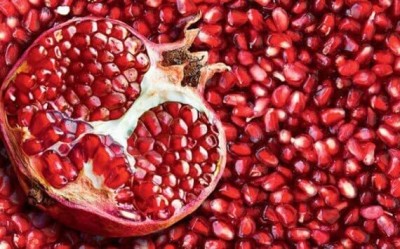 Lorvox Dwarf Pomegranate Fruit Tree Seed(5 per packet)