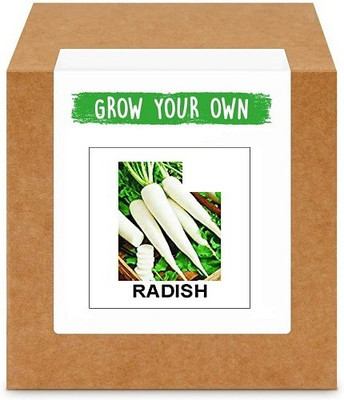 CYBEXIS White Radish2400 Seeds Seed(2400 per packet)