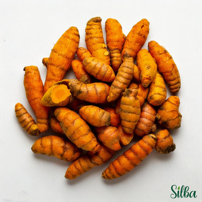 Silba Kachi Haldi, Holud Seeds, Best Quality Seed(20 g)