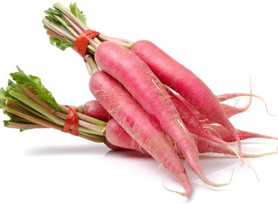 eShoptail Radish Long Red Seeds Seed(5 g)