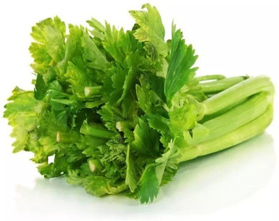 Quentova Organic Celery Vegetable-7Y-HUA Seed(200 per packet)