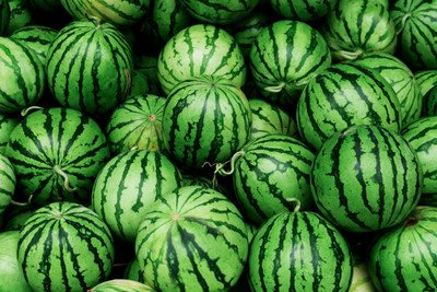 SeedHaven Fresh Watermelon Fruit Hybrid Quality Seed(500 per packet)