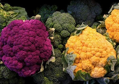Qualtivate PUA-3A Cauliflower Mix Seeds Seed(300 per packet)