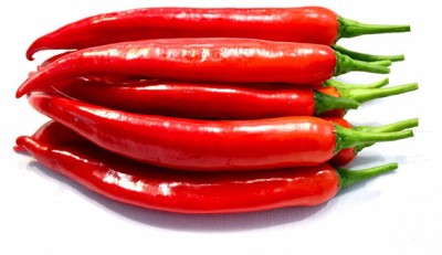 Quentova Big Red Chili-5P-NDIR Seed(200 per packet)