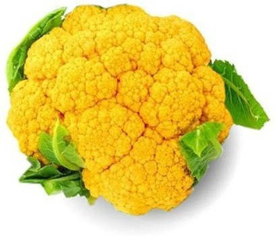 VibeX ® XLR-336 Yellow Cauliflower Exotic F1 Hybrid Seeds Seed(200 per packet)
