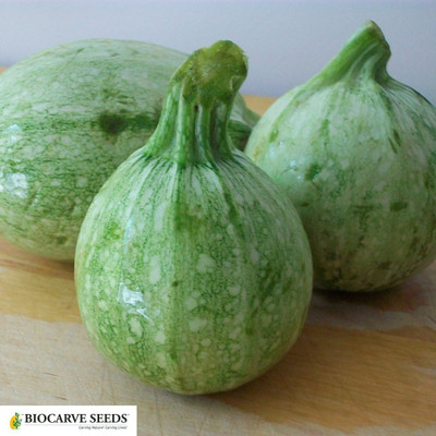 KNESSiN Squash Seeds Globe Round Green Seed(50 per packet)