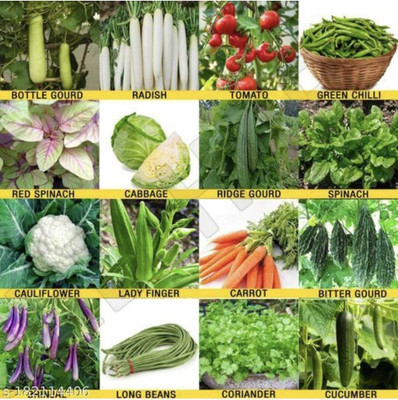FRESHO All Mixed Vegetable Seeds Seed(275 per packet)