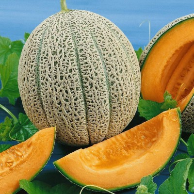 SUAA Muskmelon fruit High Germination Seed(20 per packet)