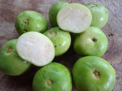 ActrovaX Vegetable Tinda/Apple Gourd [20gm Seeds] Seed(20 g)