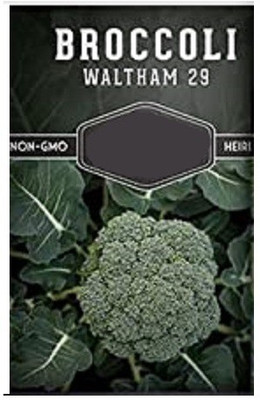 CYBEXIS Broccoli-250 Seeds Seed(250 per packet)