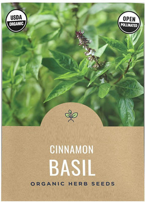 WILLVINE NDIR-65 Basil Cinnamon Ocimum Basilicum Seed(2000 per packet)