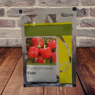DIVINE CAPSICUM Seed(65 per packet)