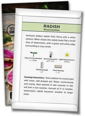 WILLVINE ® Round Radish Seeds Seed(5000 per packet)